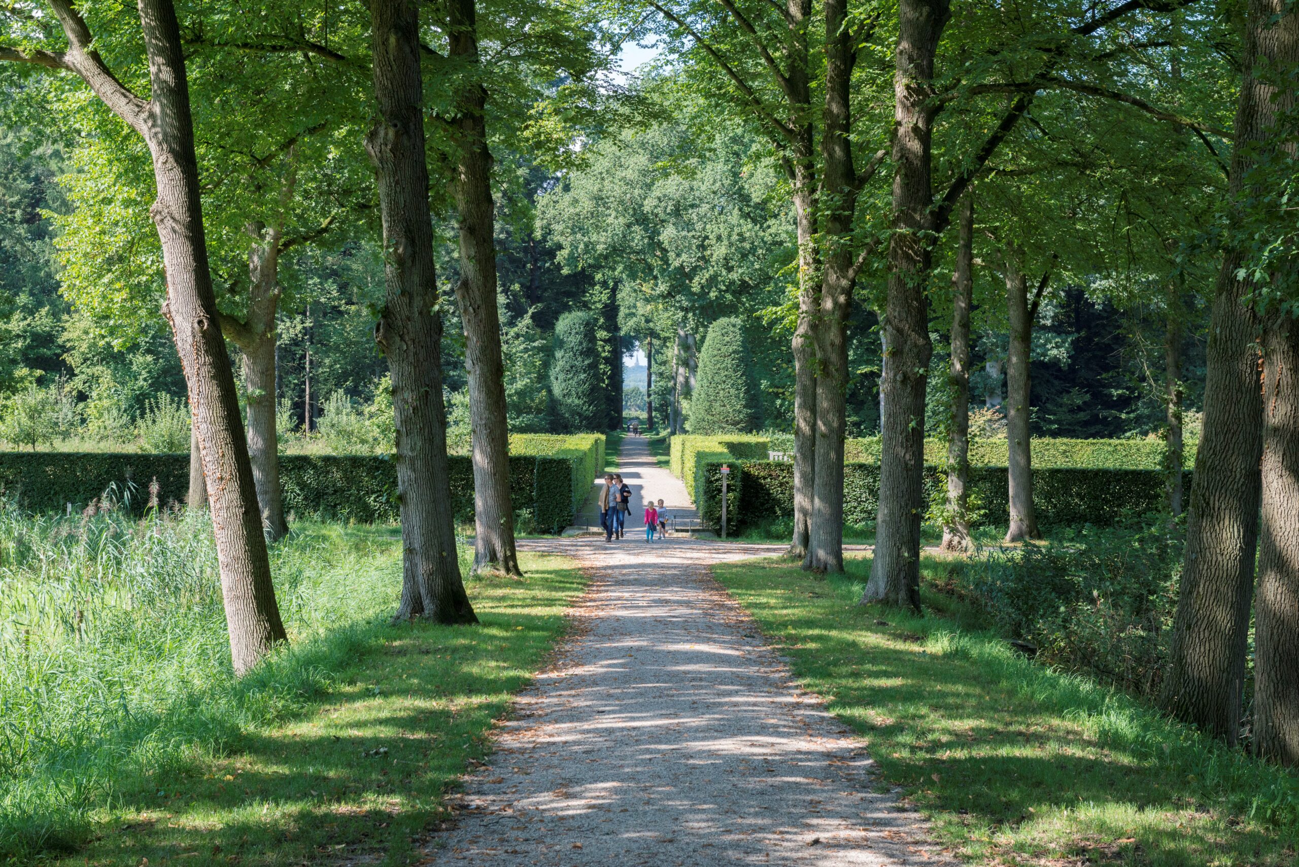 Kaart 62 verkleind Pad door de Plantage Jeroen Peters