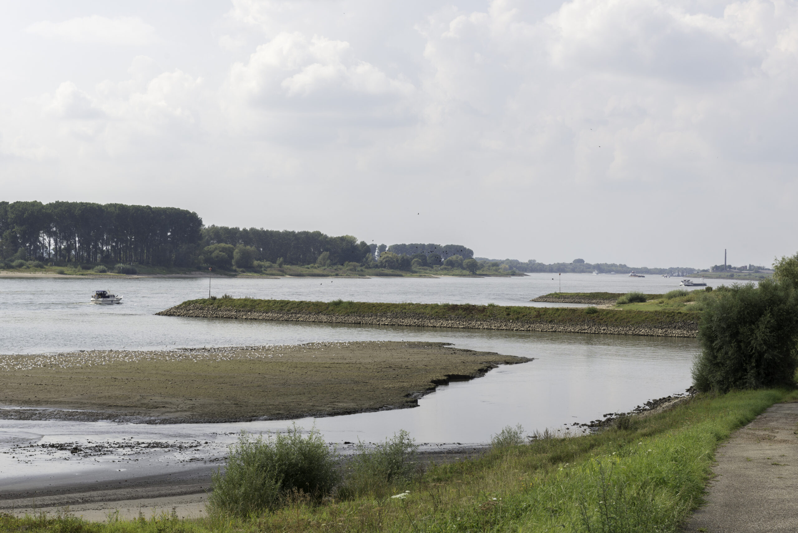 Kaart 64 Langs de Rhein Jeroen Peters