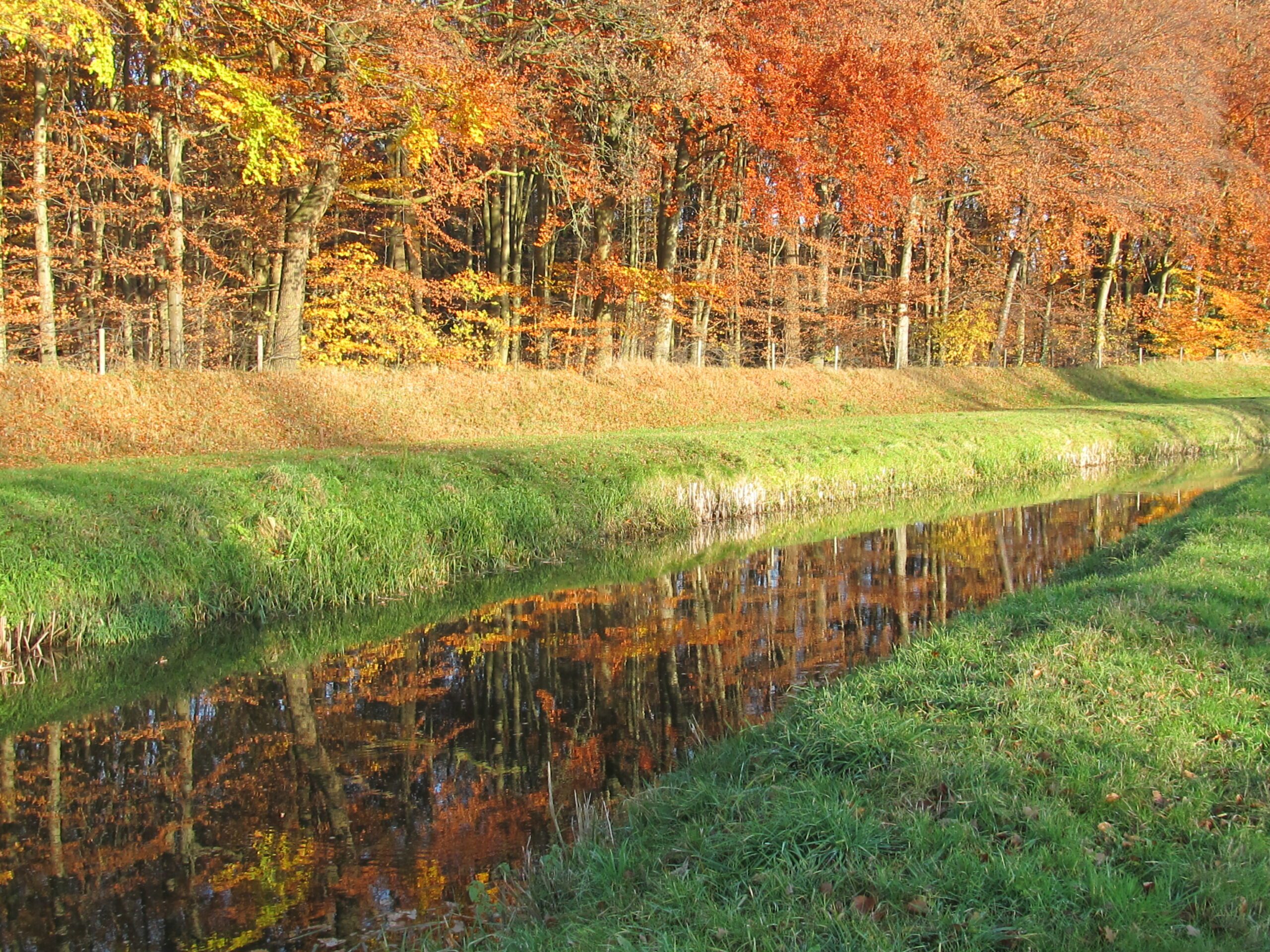 k39 herfst Buurserbeek