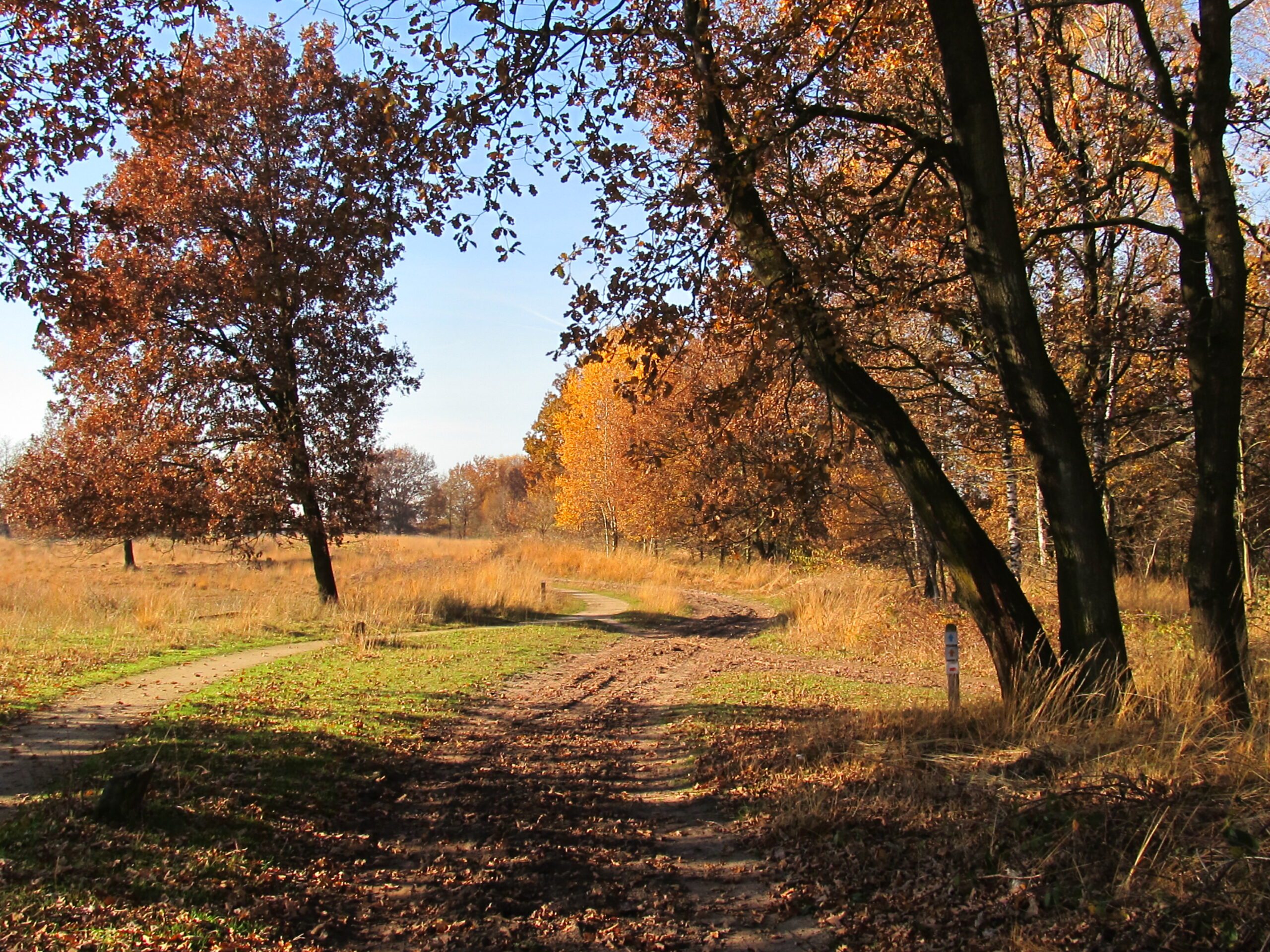 k40 Haaksbergerveen7 kaart 40