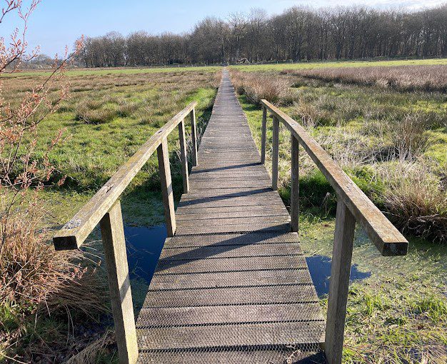 Slangenborg brug met vlonder