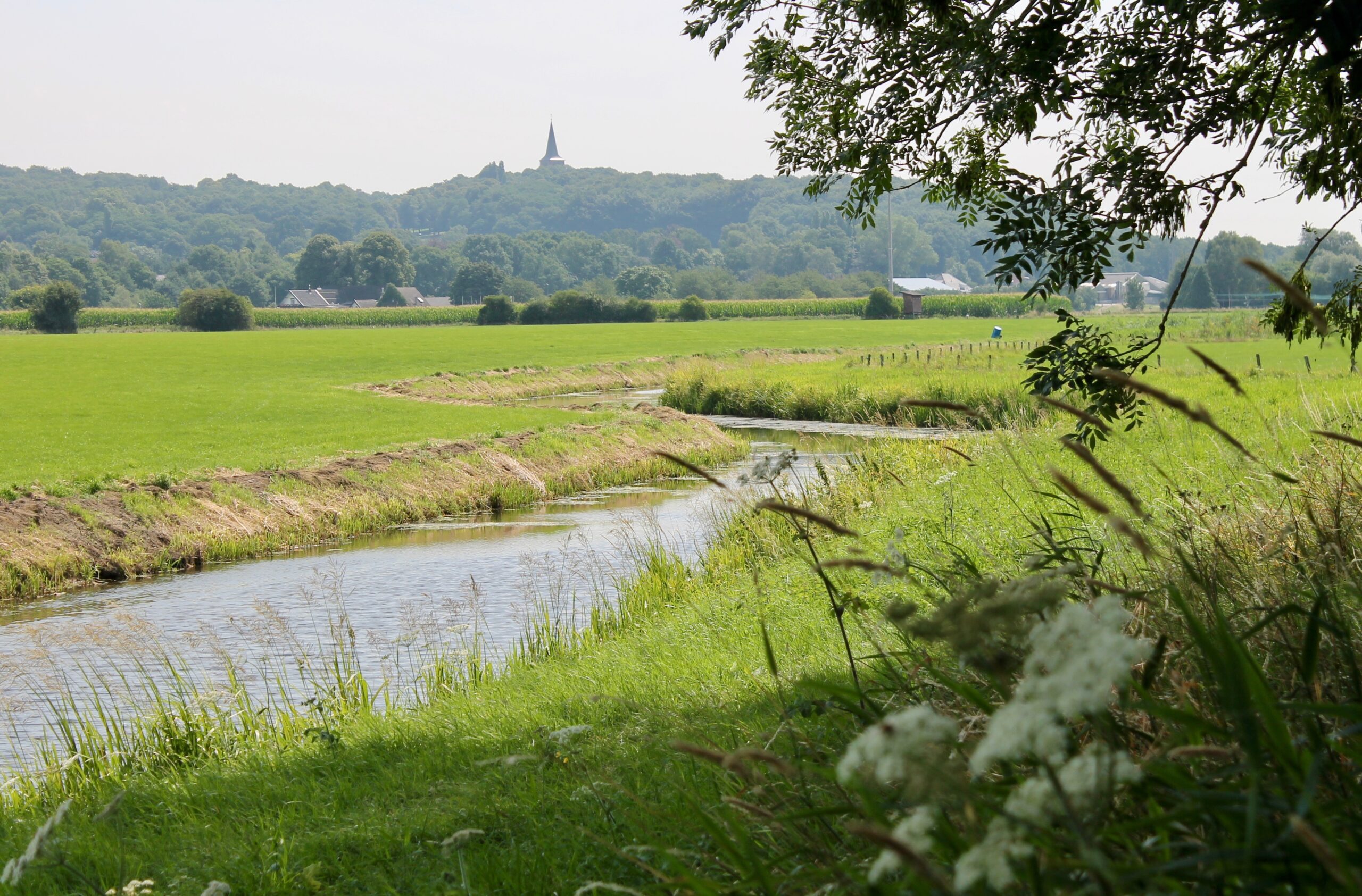 afbeelding de wild foto flip van doorn