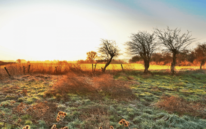 de drie wijzen van natuurreservaat Emmericher Ward